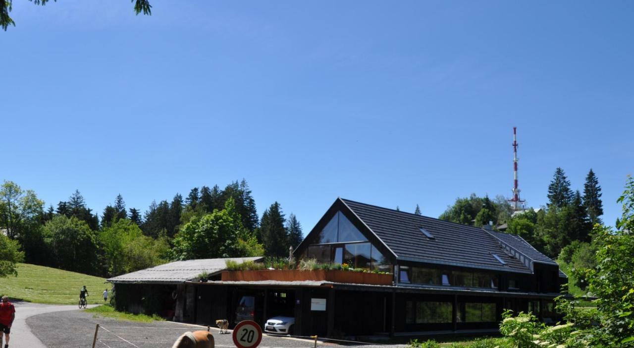 Ferienwohnung Reichart 로하우 외부 사진